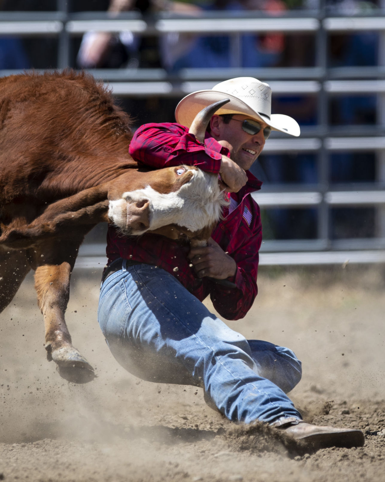 Rodeo Roundup